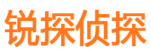 新源市私家侦探